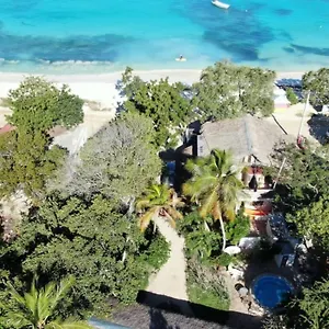  Lodge Tropic Dominican Republic