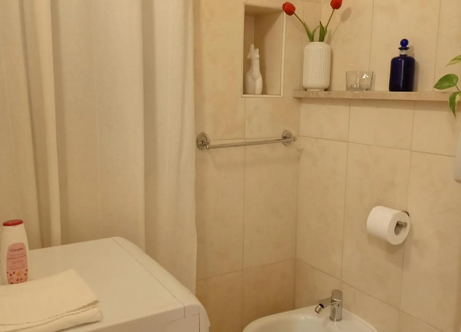 Luxury Home Roma 0*,